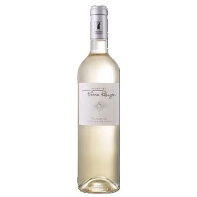 Domaine Pierre Rougon Blanc